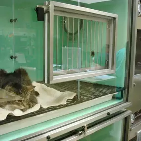 Bild von VCA Sacramento Veterinary Referral Center