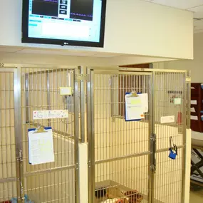 Bild von VCA Sacramento Veterinary Referral Center