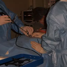 Bild von VCA Sacramento Veterinary Referral Center