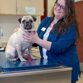 Bild von VCA Sacramento Veterinary Referral Center