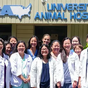 Welcome to VCA University Animal Hospital!