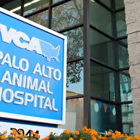 Bild von VCA Palo Alto Animal Hospital