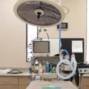 Bild von VCA Advanced Veterinary Care Center