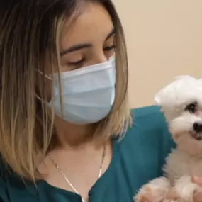 Bild von VCA Advanced Veterinary Care Center