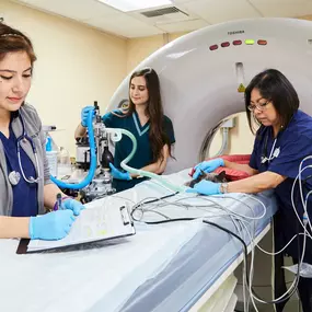 Bild von VCA Advanced Veterinary Care Center