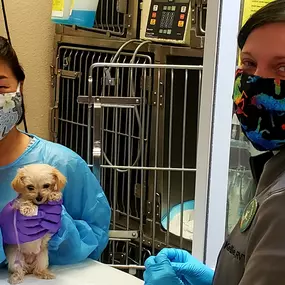 Bild von VCA Advanced Veterinary Care Center
