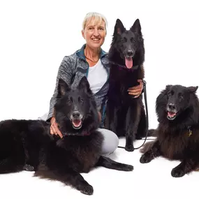 Bild von VCA Advanced Veterinary Care Center