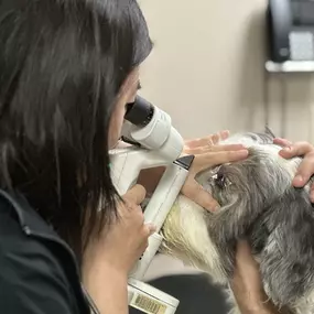 Bild von VCA Advanced Veterinary Care Center