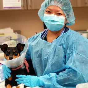 Bild von VCA Advanced Veterinary Care Center