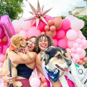 Bild von Party On Butler | Pittsburgh Balloons