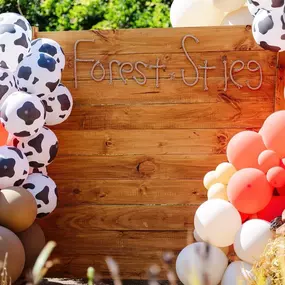 Bild von Party On Butler | Pittsburgh Balloons