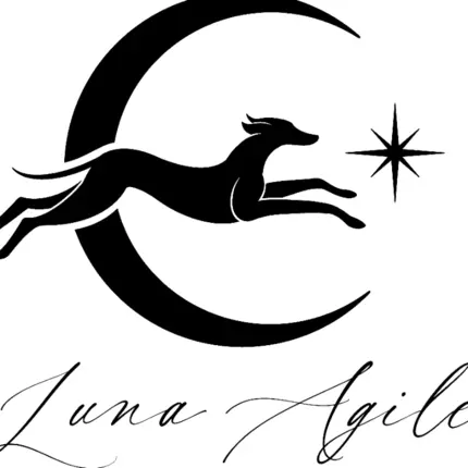 Logo von Luna Agile