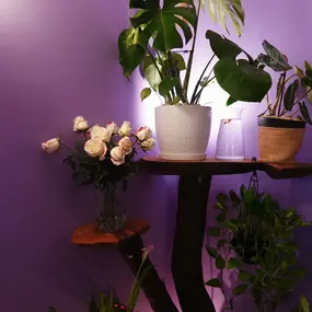 Bild von Dream Spa