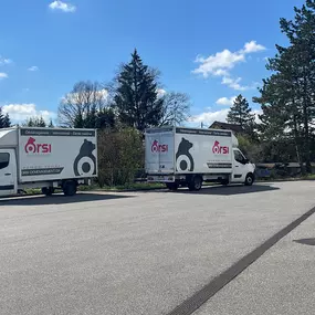 Bild von Orsi Reloc & Move