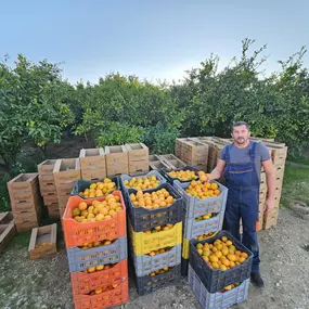 Mario Gavric - Taste of Adria, Salzburg