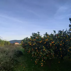 Mario Gavric - Taste of Adria, Salzburg