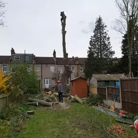 Bild von Trees R Us