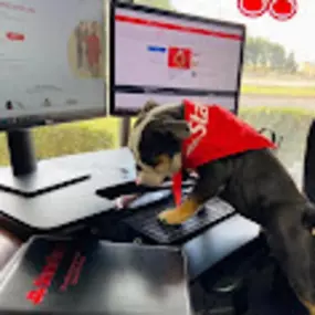 Bild von Ryan Charlon - State Farm Insurance Agent