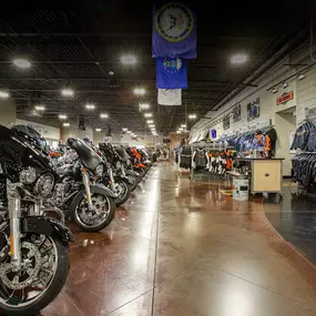 Bild von Scorpion Harley-Davidson