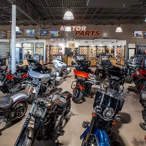 Bild von RoadRunner Harley-Davidson