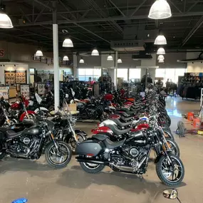 Bild von RoadRunner Harley-Davidson