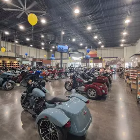 Bild von Black Gold Harley-Davidson