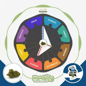 Bild von Herbify Cannabis Lovers Delivery