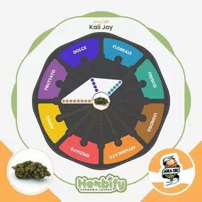 Bild von Herbify Cannabis Lovers Delivery