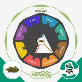 Bild von Herbify Cannabis Lovers Delivery