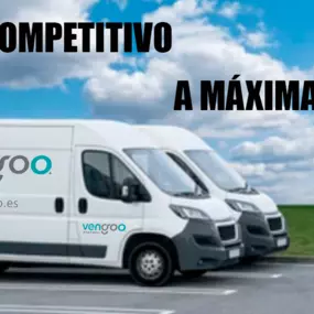 231295908-1-gwG2nTa1Bo1719042474245.png