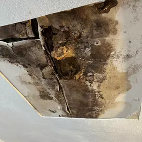 Bild von L.K-construction Schimmel und Wasserschadensanierung