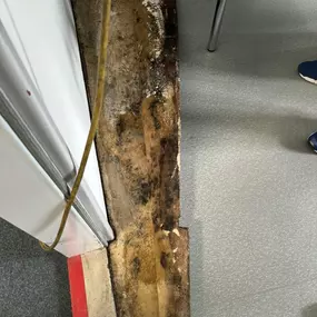 Bild von L.K-construction Schimmel und Wasserschadensanierung