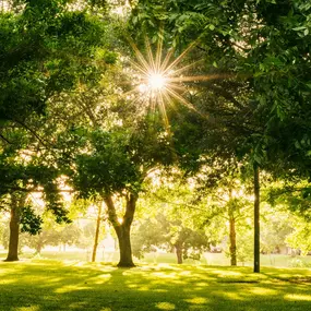 Bild von Garner Hotel Essen - Messe by IHG