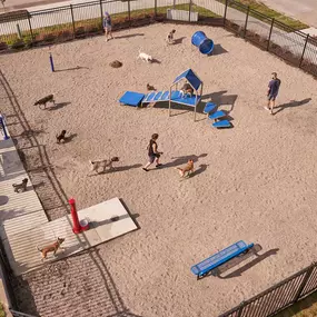 Dog park seen from above