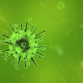 Bild von FoodCamp Hamburg - Praxis für Ernährungstherapie und Naturheilkunde