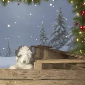 Bild von Massachusetts Doodles