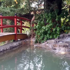 Bild von Bavaria Teichbau GmbH