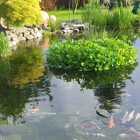 Bild von Bavaria Teichbau GmbH