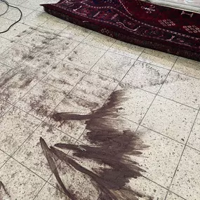 Bild von Parsi Teppichreinigung GmbH
