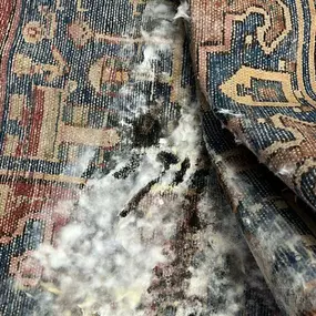 Bild von Parsi Teppichreinigung GmbH