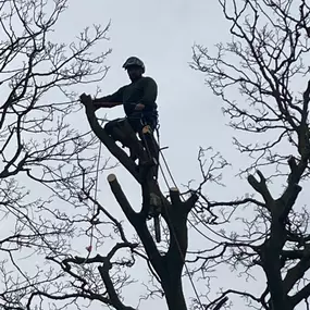 Bild von JW Landscapes