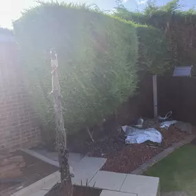 Bild von JW Landscapes