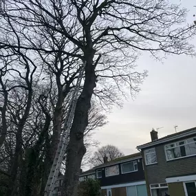 Bild von JW Landscapes