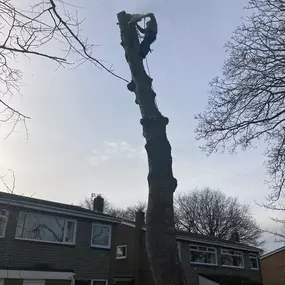 Bild von JW Landscapes