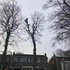 Bild von JW Landscapes