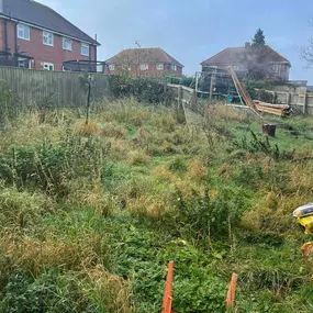 Bild von JW Landscapes