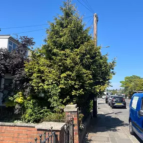 Bild von JW Landscapes