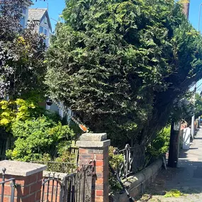 Bild von JW Landscapes