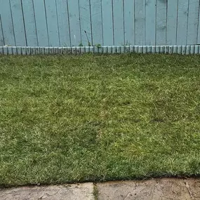 Bild von JW Landscapes