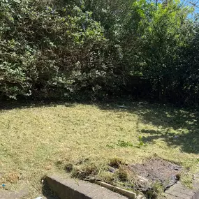 Bild von JW Landscapes